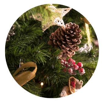 Pine Cone on Tree with other Christmas decorations 
