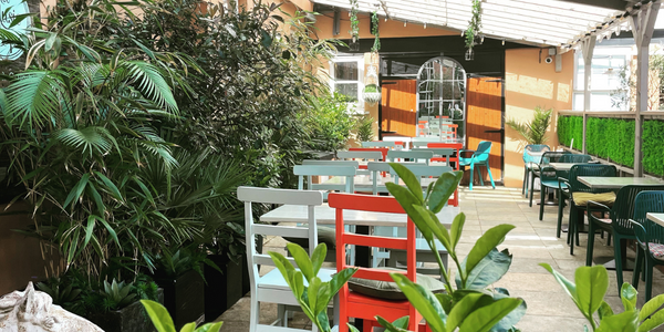 Garden Terrace with tables and chairs and mirror and leafy plants